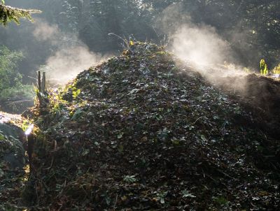 Pune gunoiul la treaba! Gramada de compost cu resturi din bucatarie